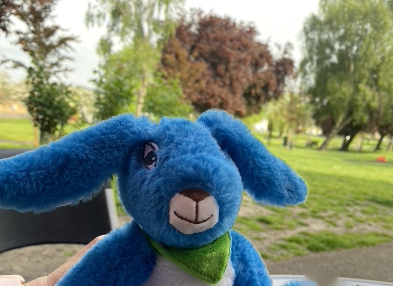 Bobby Blue at his home, The Redwood Forest, with green trees and grass behind him