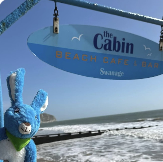 Bobby Blue by the sea at Swanage Bay in Dorset, under the sign for The Cabin beach cafe
