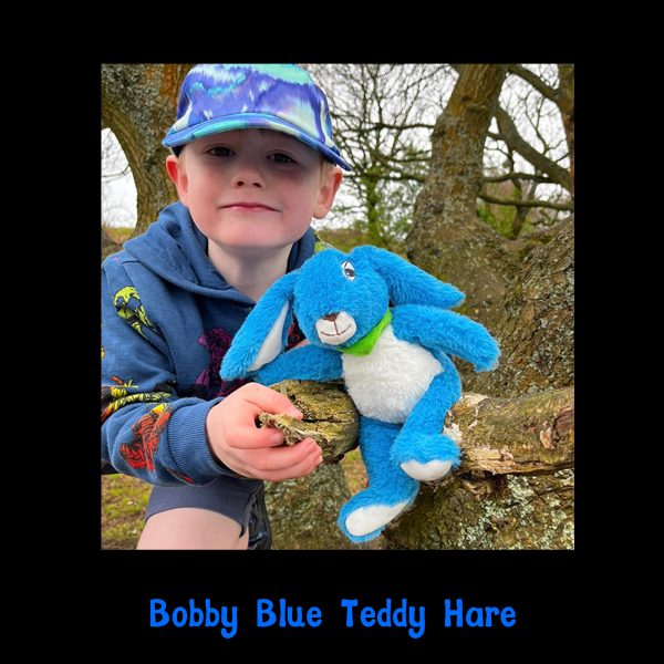 Child in a tree with the Bobby Blue Teddy Hare sitting on a branch beside him