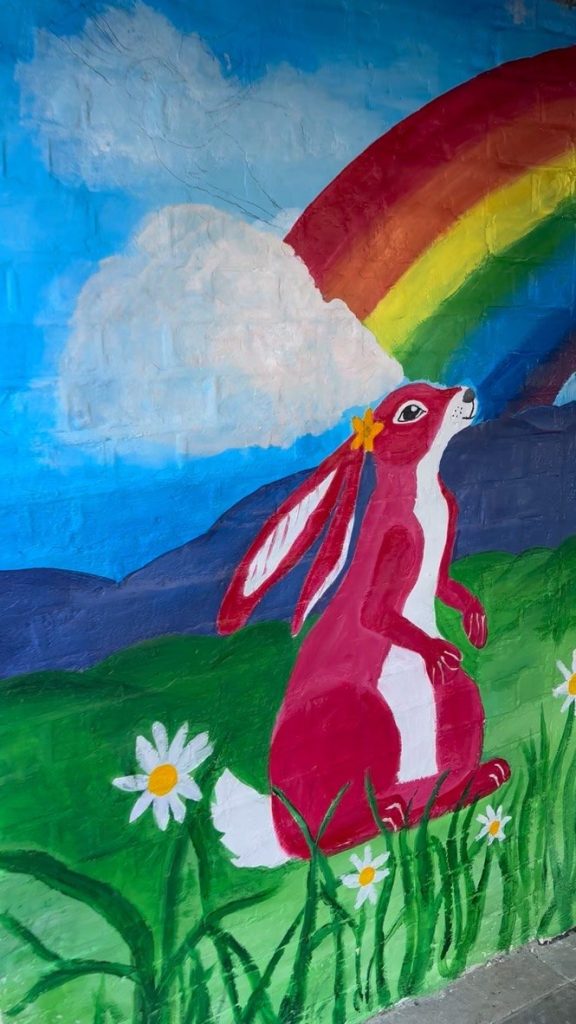 Close-up of Pink Patsy the hare gazing up at a rainbow among daisies on the finished Crocodile Café mural