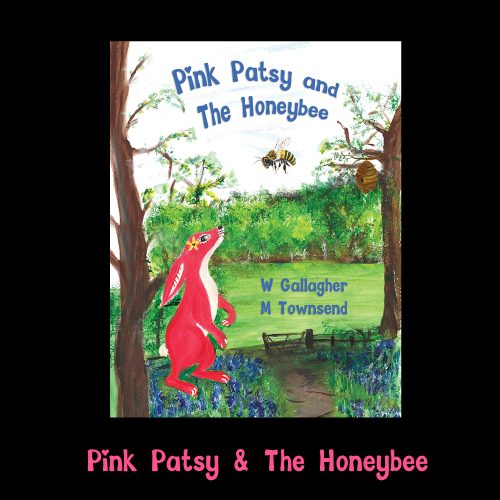 Pink Patsy and the Honeybee book cover Pink Patsy and the Honeybee children's picture book cover by W Gallagher and M Townsend