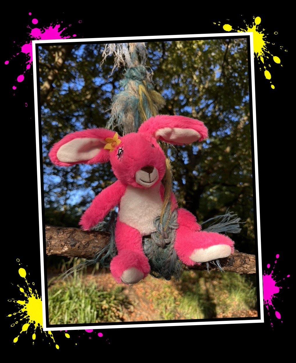 Pink Patsy on a rope swing in the trees by Dollis Brook, near The Redwood Forest
