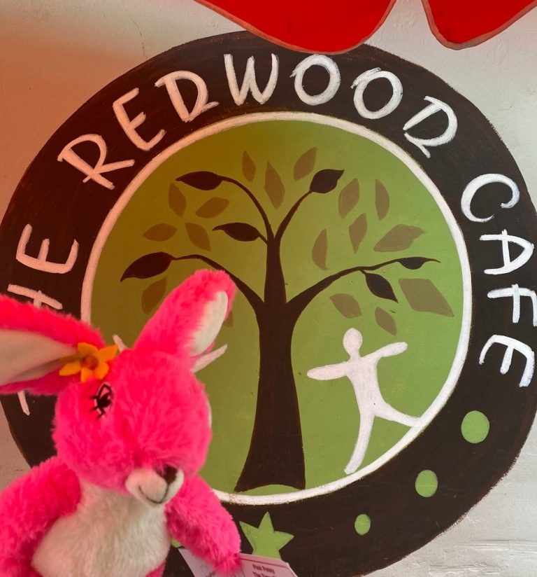 Pink Patsy in front of the painted Redwood Cafe sign at The Redwood Forest, home to Pink Patsy