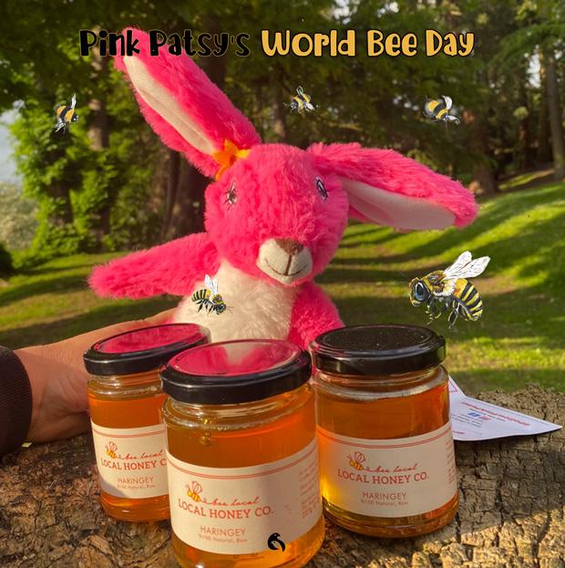 World Bee Day photo 4