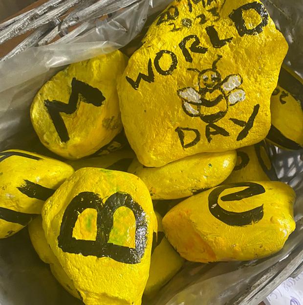 World Bee Day photo 6